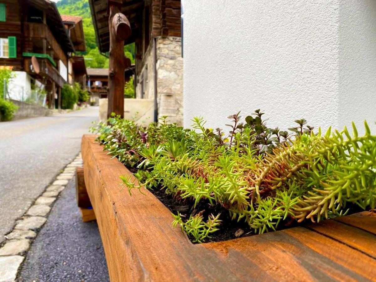 Beim Brunnen Apartamento Gsteigwiler Exterior foto